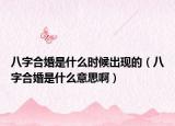 八字合婚是什么时候出现的（八字合婚是什么意思啊）