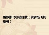 俄罗斯飞机被拦截（俄罗斯飞机型号）