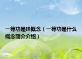 一等功是啥概念（一等功是什么概念简介介绍）