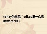 cdkey的意思（cdkey是什么意思简介介绍）