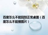 百度怎么不能回到正常桌面（百度怎么不能搜图片）