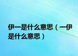 伊一是什么意思（一伊是什么意思）