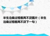 半生沧桑过相看两不厌图片（半生沧桑过相看两不厌下一句）