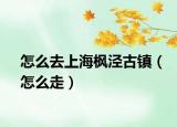 怎么去上海枫泾古镇（怎么走）
