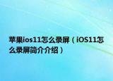 苹果ios11怎么录屏（iOS11怎么录屏简介介绍）