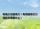 电场力与磁场力（电场磁场引力场的本质是什么）