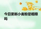 今日更新小麦粉是粗粮吗
