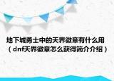 地下城勇士中的天界徽章有什么用（dnf天界徽章怎么获得简介介绍）