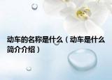 动车的名称是什么（动车是什么简介介绍）