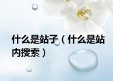 什么是站子（什么是站内搜索）