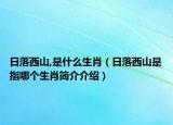 日落西山,是什么生肖（日落西山是指哪个生肖简介介绍）