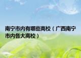 南宁市内有哪些高校（广西南宁市内各大高校）
