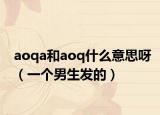 aoqa和aoq什么意思呀（一个男生发的）