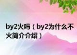 by2火吗（by2为什么不火简介介绍）