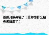 董卿开除央视了（董卿为什么被央视解雇了）