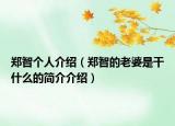 郑智个人介绍（郑智的老婆是干什么的简介介绍）