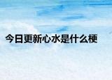 今日更新心水是什么梗