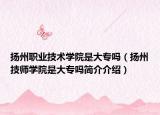 扬州职业技术学院是大专吗（扬州技师学院是大专吗简介介绍）