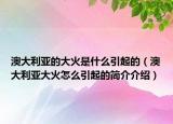 澳大利亚的大火是什么引起的（澳大利亚大火怎么引起的简介介绍）