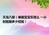 天龙八部（单刷宝宝实用么 一小时能刷多少经验）