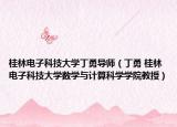 桂林电子科技大学丁勇导师（丁勇 桂林电子科技大学数学与计算科学学院教授）