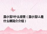 露小宝ll什么背景（露小宝LL是什么梗简介介绍）