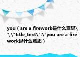 you（are a firework是什么意思