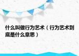 什么叫做行为艺术（行为艺术到底是什么意思）