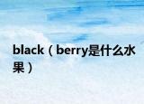 black（berry是什么水果）