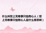 什么叫世上无难事只怕有心人（世上无难事只怕有心人是什么意思啊）