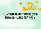 什么样的残疾达到二级智残（智力二级残疾是什么概念简介介绍）