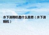 水下滑翔机是什么意思（水下滑翔机）