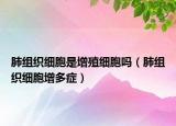 肺组织细胞是增殖细胞吗（肺组织细胞增多症）