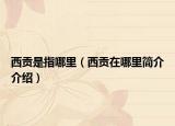 西贡是指哪里（西贡在哪里简介介绍）