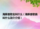 海豚音歌名叫什么（海豚音歌曲叫什么简介介绍）