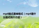 mp4格式是啥格式（mp4是什么格式简介介绍）