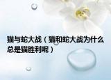 猫与蛇大战（猫和蛇大战为什么总是猫胜利呢）