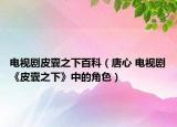 电视剧皮囊之下百科（唐心 电视剧《皮囊之下》中的角色）