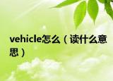 vehicle怎么（读什么意思）