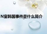 N室韩国事件是什么简介