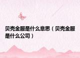 贝壳金服是什么意思（贝壳金服是什么公司）