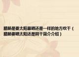 腊肠是要太阳暴晒还是一样的地方吹干（腊肠要晒太阳还是阴干简介介绍）