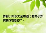 养狗小知识大全泰迪（有关小郑爽的QQ网名??）