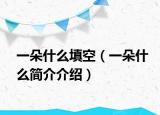 一朵什么填空（一朵什么简介介绍）