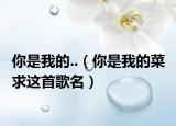 你是我的..（你是我的菜 求这首歌名）