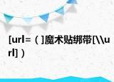 [url=（]魔术贴绑带[\url]）