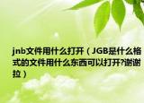 jnb文件用什么打开（JGB是什么格式的文件用什么东西可以打开?谢谢拉）