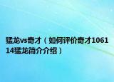 猛龙vs奇才（如何评价奇才106114猛龙简介介绍）
