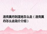 洛克莫丹到湿地怎么走（洛克莫丹怎么去简介介绍）