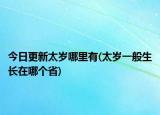 今日更新太岁哪里有(太岁一般生长在哪个省)